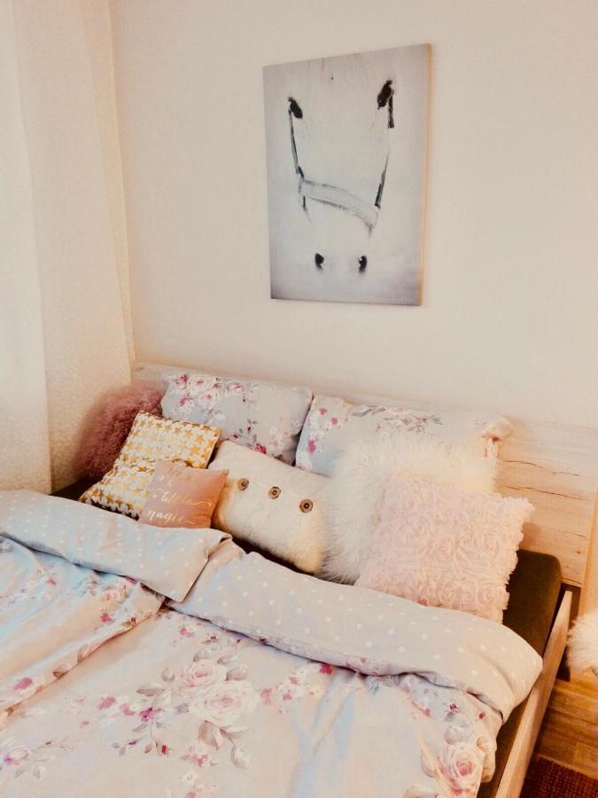 Apartmán Sandra'S Studio Klagenfurt am Woerthersee Pokoj fotografie